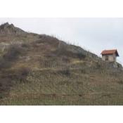 Domaine Gangloff