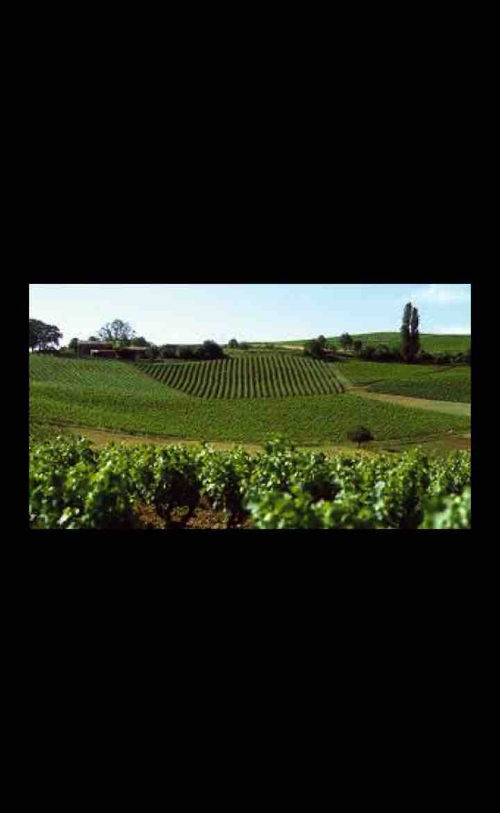 SUD OUEST