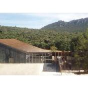 Domaine de l'Hortus