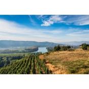 Domaine Louis Cheze