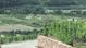 Domaine Gallet