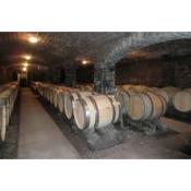 Domaine Philippe Gavignet