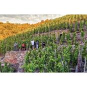 Domaine Christophe Pichon