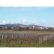 Domaine J.Boulon