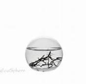 EcoSphere Atlantique rond 10cm 